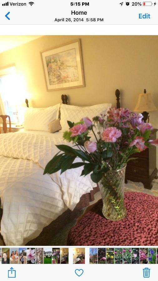 Wellesley Bed And Breakfast المظهر الخارجي الصورة