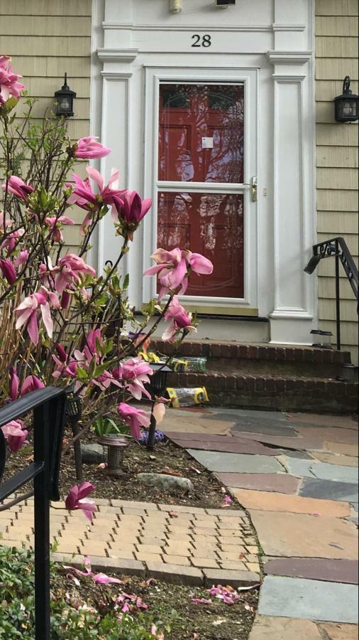 Wellesley Bed And Breakfast المظهر الخارجي الصورة